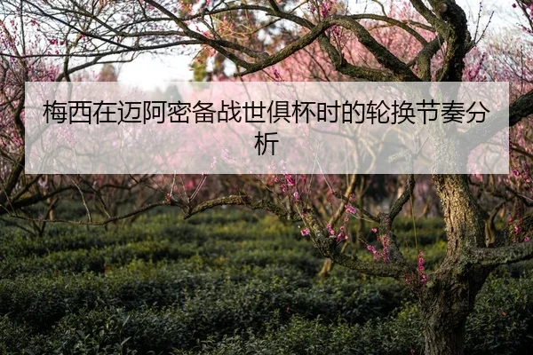 梅西在迈阿密备战世俱杯时的轮换节奏分析
