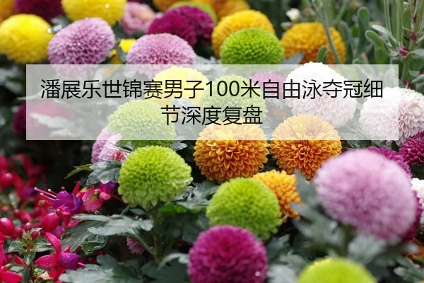 潘展乐世锦赛男子100米自由泳夺冠细节深度复盘